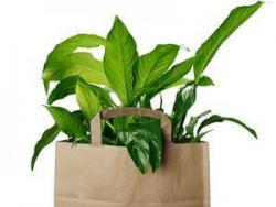 Контейнер для раздельного сбора мусора ЭКО2